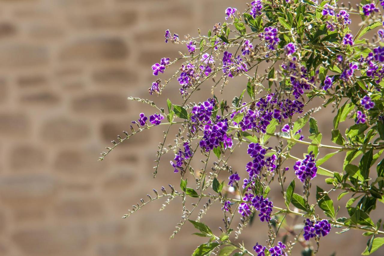 La Demeure Insoupconnee Frühstückspension Cassis